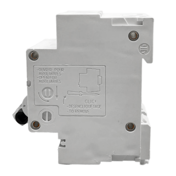 100A, Double pole, Industrial Type MCB, 10kA, B curve (3 modules wide) - Image 2